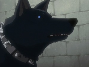 Wolf's Rain