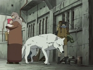 Wolf's Rain