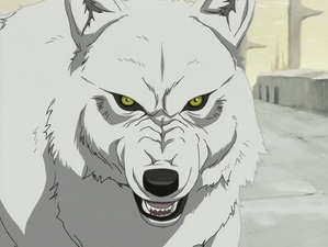 Wolf's Rain