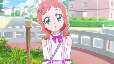 Wonderful Precure!