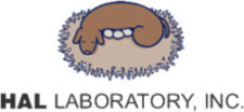foto autore