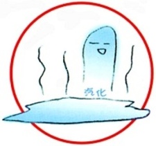 foto autore