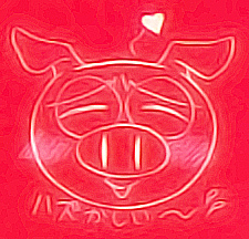 foto autore