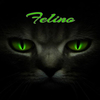 felino91