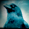 .Crow