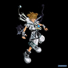 bigsora