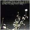 ilsenzanima