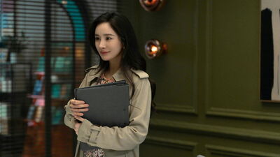 Lei e il marito perfetto