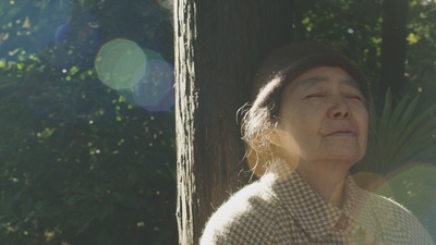Le ricette della signora Toku