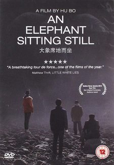 An Elephant Sitting Still