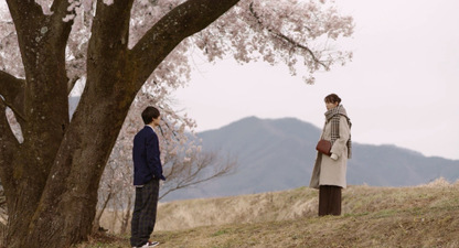 Under the Miracle Cherry Tree