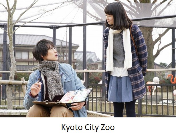 Boku wa Ashita Kinou no Kimi to Date Suru (Live) | AnimeClick.it