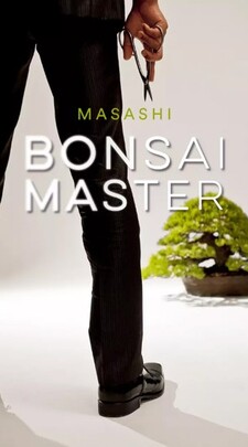 Bonsai Warrior