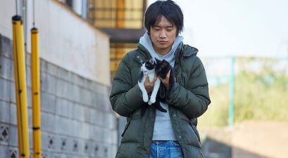 Cats Don't Come When You Call