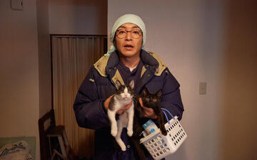 Cats Don't Come When You Call