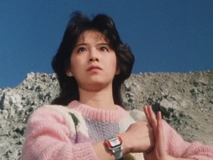Choudenshi Bioman