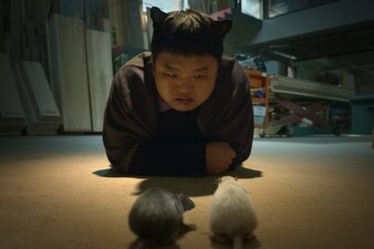 I desideri del genio