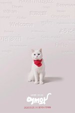 Meow, il Ragazzo Segreto