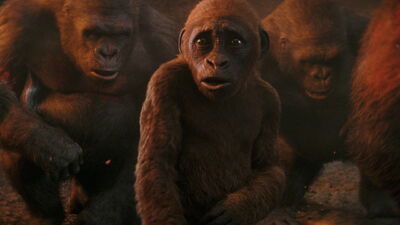 Godzilla e Kong - Il nuovo impero