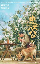 Hachiko (2023)