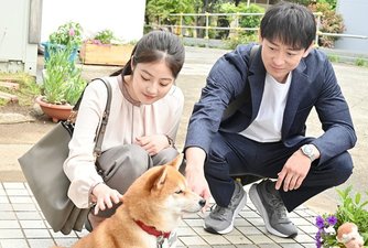 Hanasaki Mai ga damatte inai