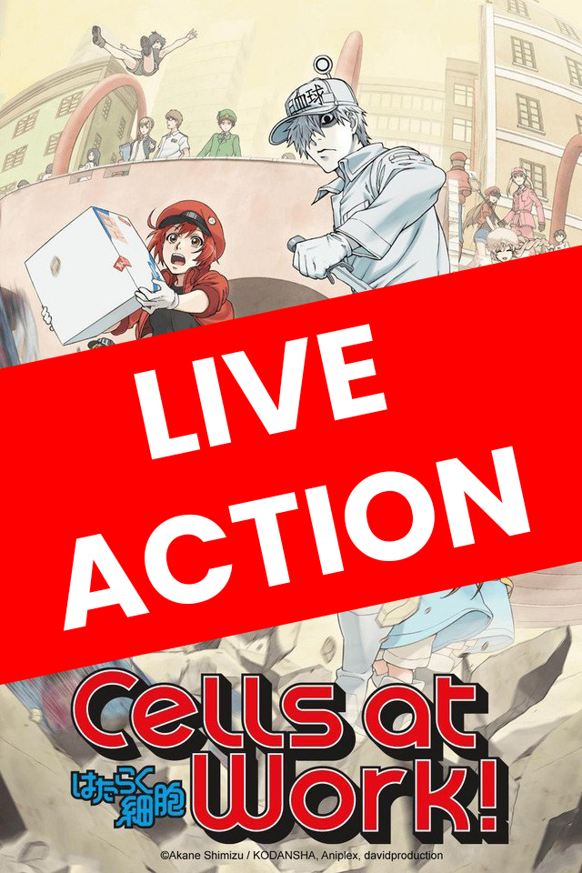 Cells at works!