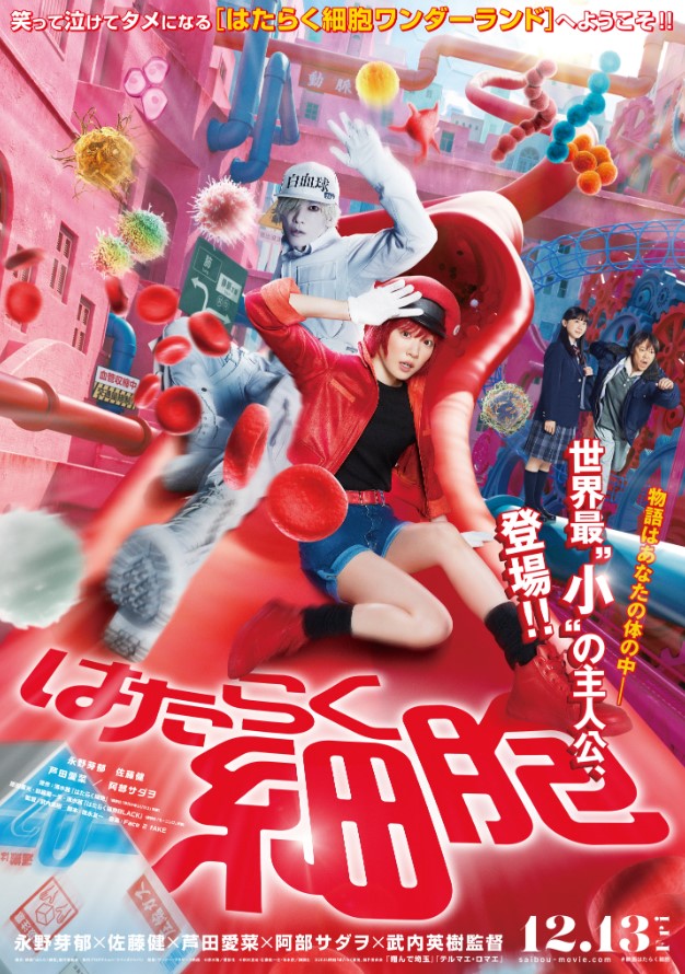Cells at work!
