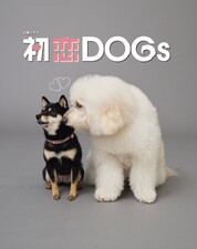 Hatsukoi DOGs