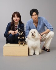 Hatsukoi DOGs