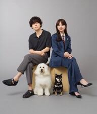 Hatsukoi DOGs