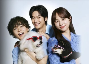 Hatsukoi DOGs