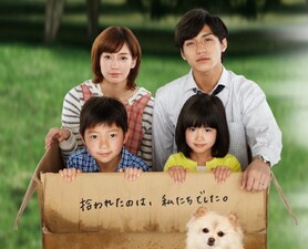 Inu wo kau to iu koto