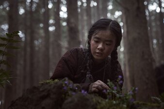 Kingdom: Ashin of the North