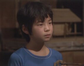 Kita no kuni kara