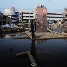 Koi - Documentary