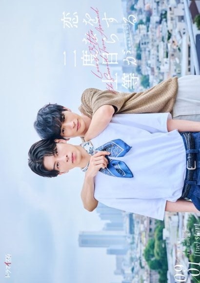 Koi wo Suru Nara Nidome ga Jōtō Season 2