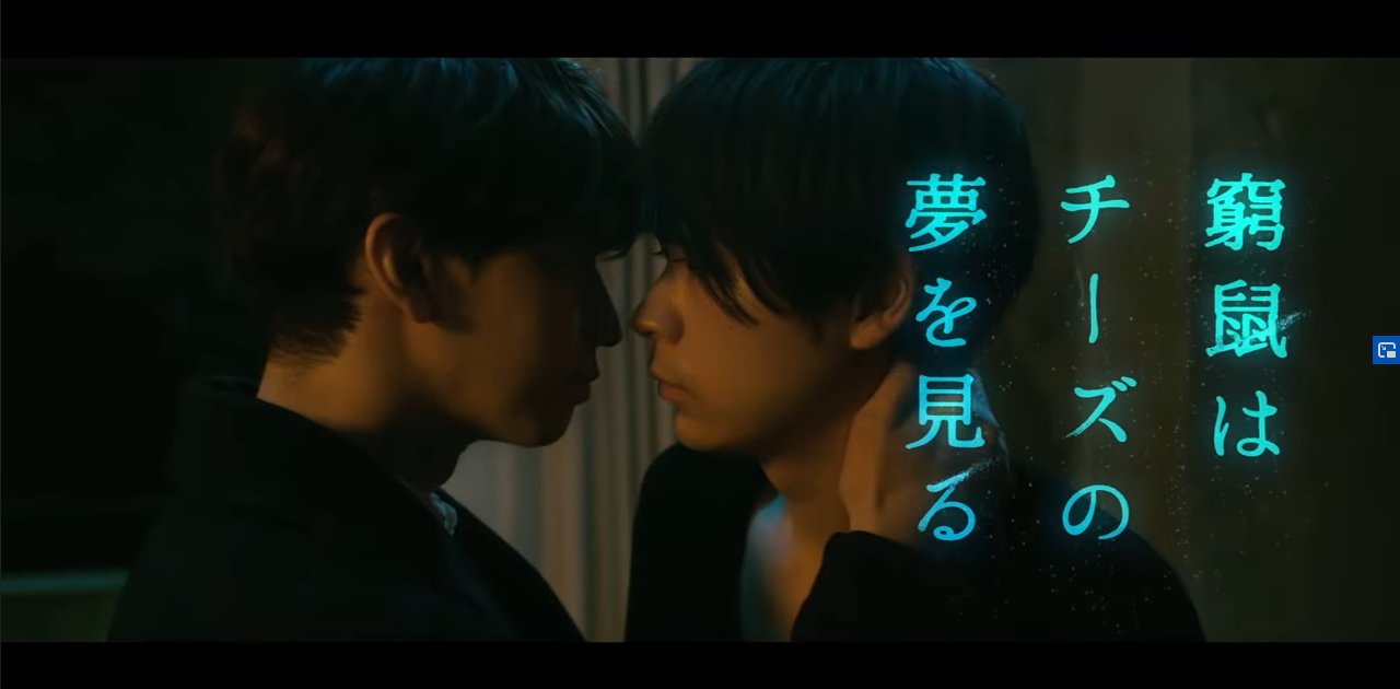 Kyuso wa Cheese no Yume wo Miru (Live) | AnimeClick.it