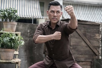 Master Z - The Ip Man Legacy