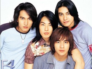 Meteor Garden