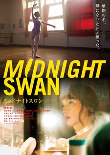 Midnight Swan