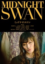 Midnight Swan