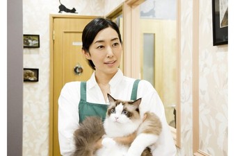 Neko Atsume no Ie
