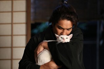 Samurai Cat