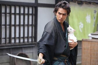 Samurai Cat