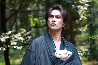 Samurai Cat