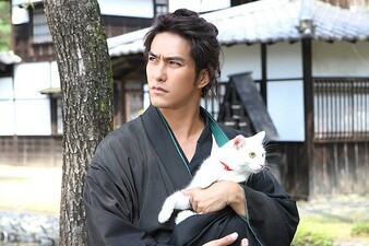 Samurai Cat