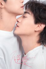 Revenged Love