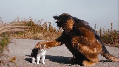 Oliver na Inu, (Gosh!!) Kono Yarō