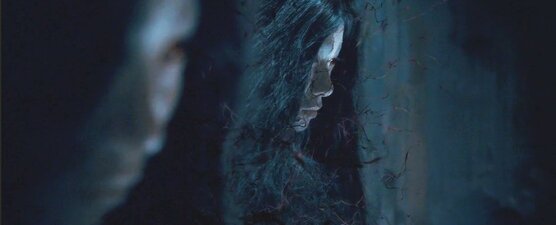 Il Cacciatore di vampiri