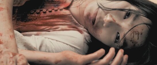 Il Cacciatore di vampiri